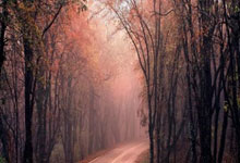 开云平台-多特蒙德狂胜基辅迪纳摩!晋级征途阳光四射