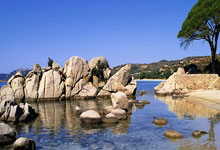 开云体育官网-蓝白风暴席卷异域!法国队海外征战的闪耀哲学