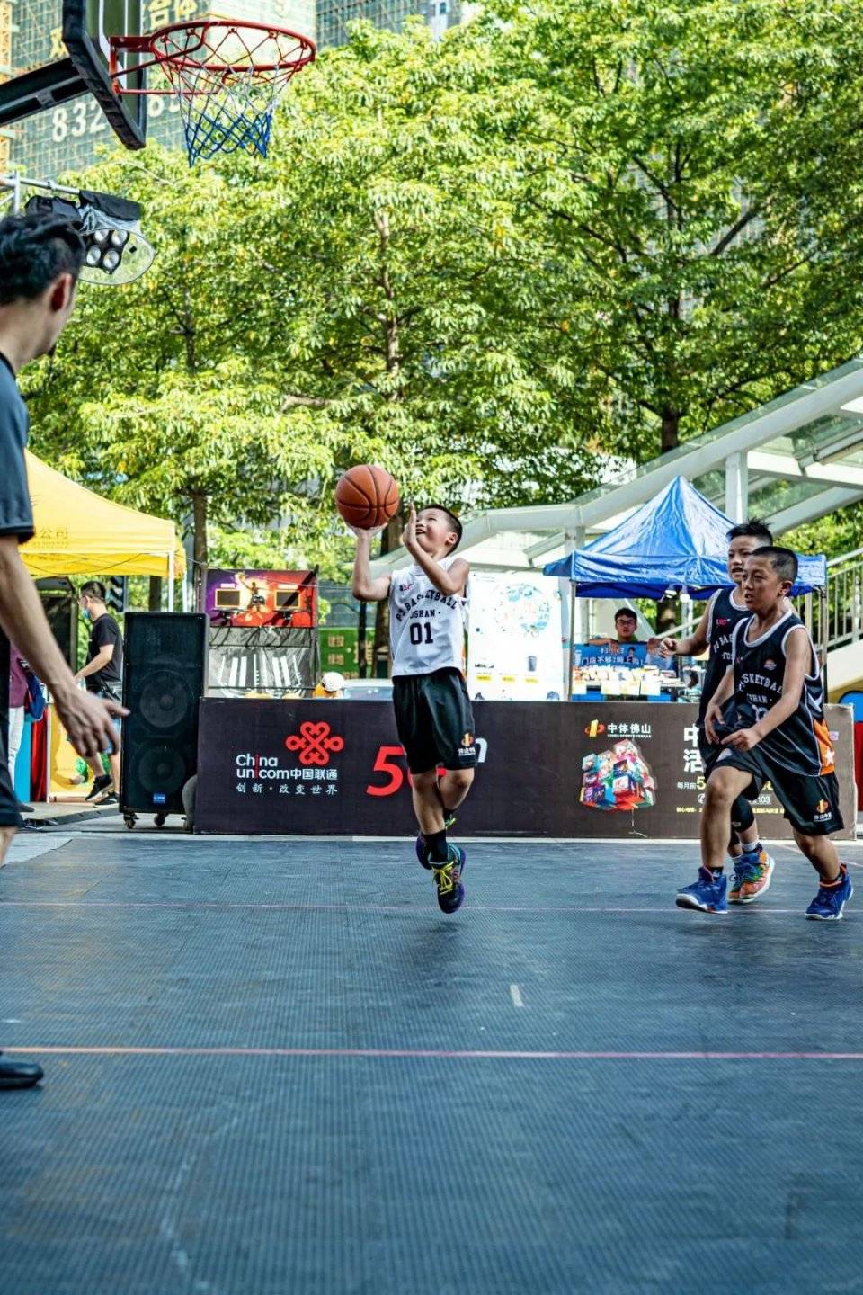 包含篮球比赛直播收视率创新高:观众热情高涨的词条