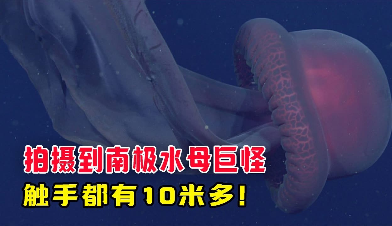 开云体育-男子米飞身决赛惊险,颠覆预期