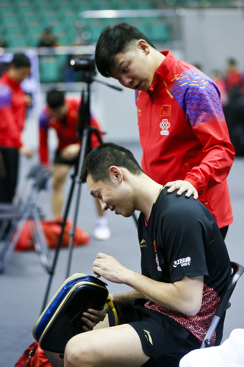 包含法国队完胜波兰队,许昕高光表现的词条 包含法国队完胜波兰队,许昕高光表现的词条