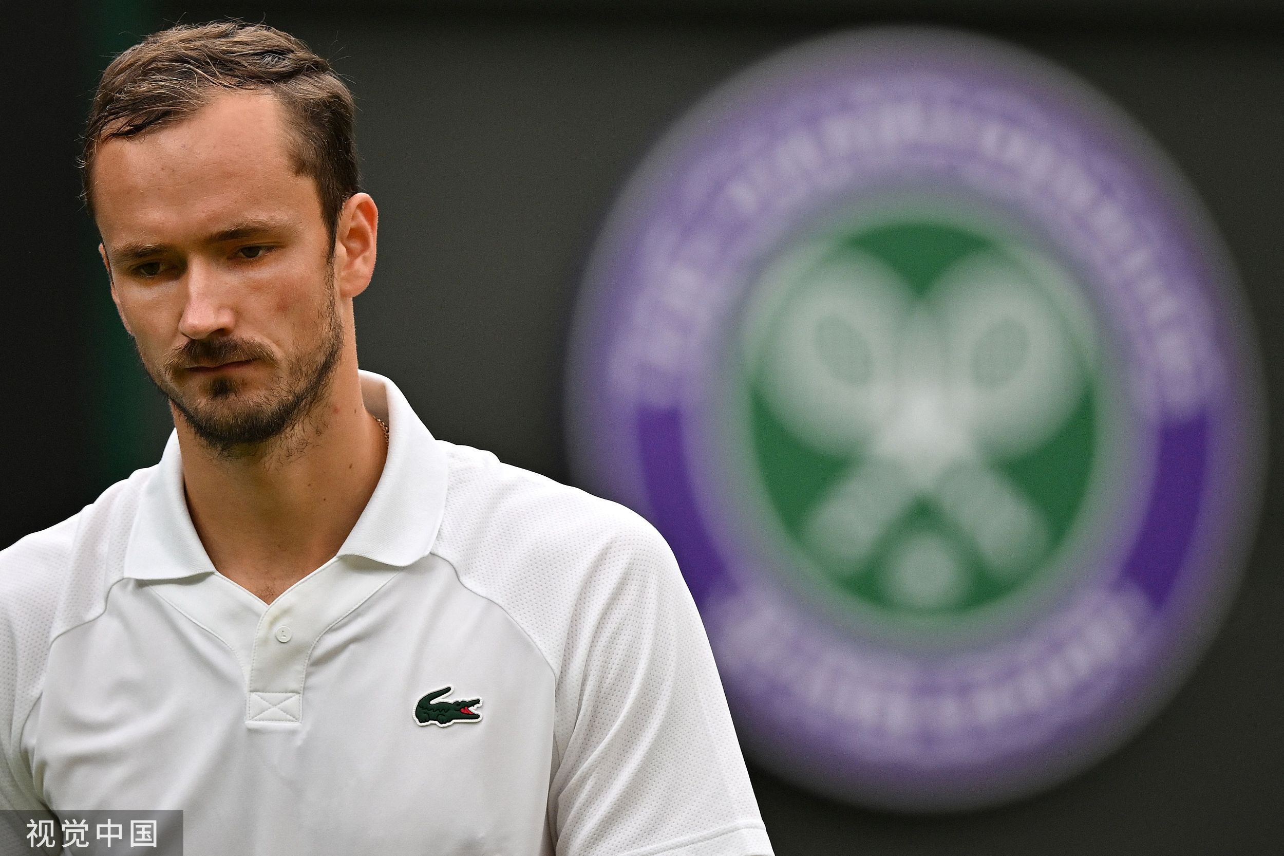 戴维斯杯横扫温网，梅德韦杰夫点燃赛场的简单介绍